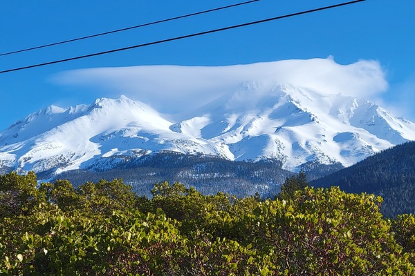 View of Mount Shasta from the driveway