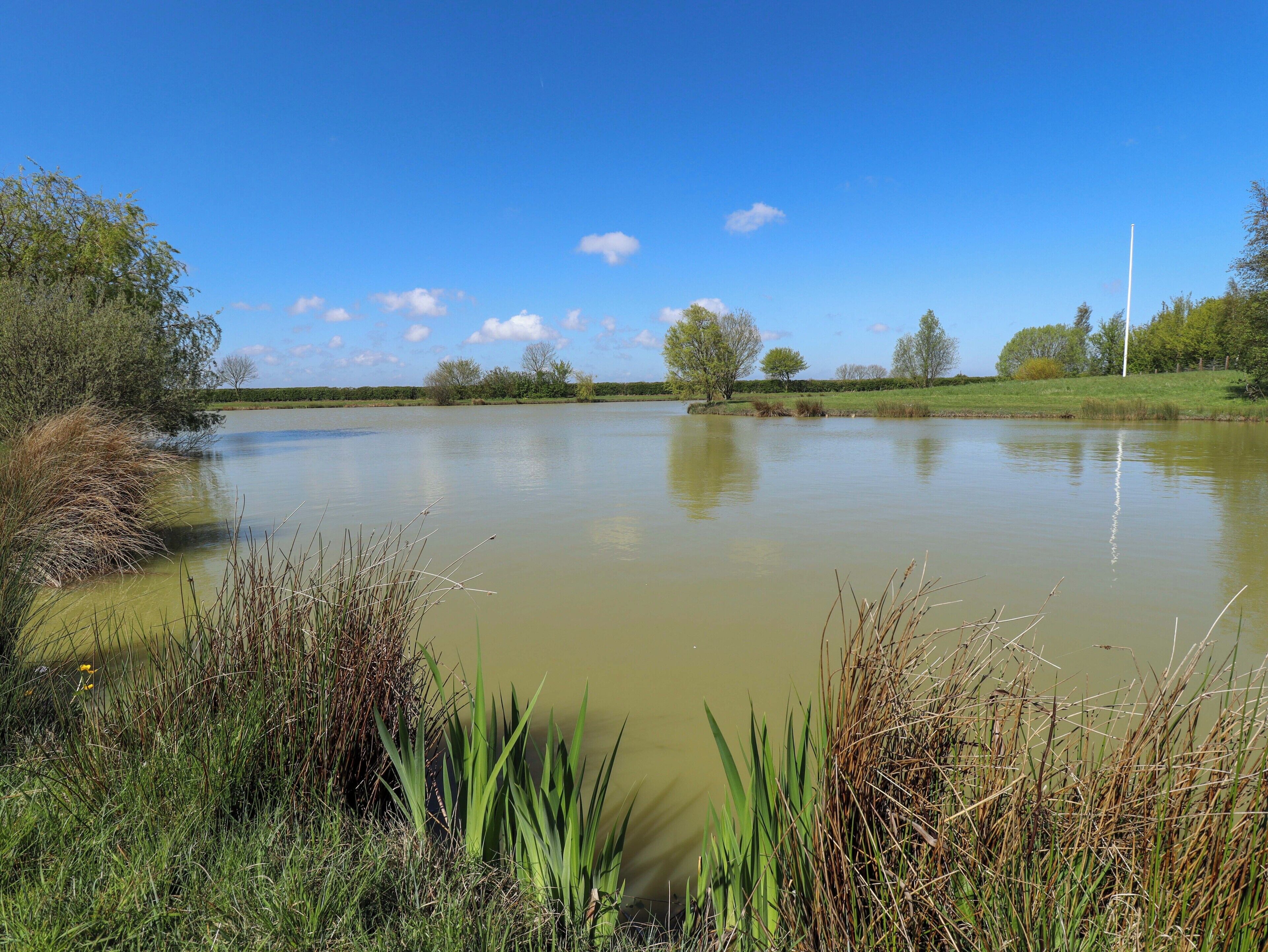 Ein ruhiger See, umgeben von Wiesen und Bäumen.