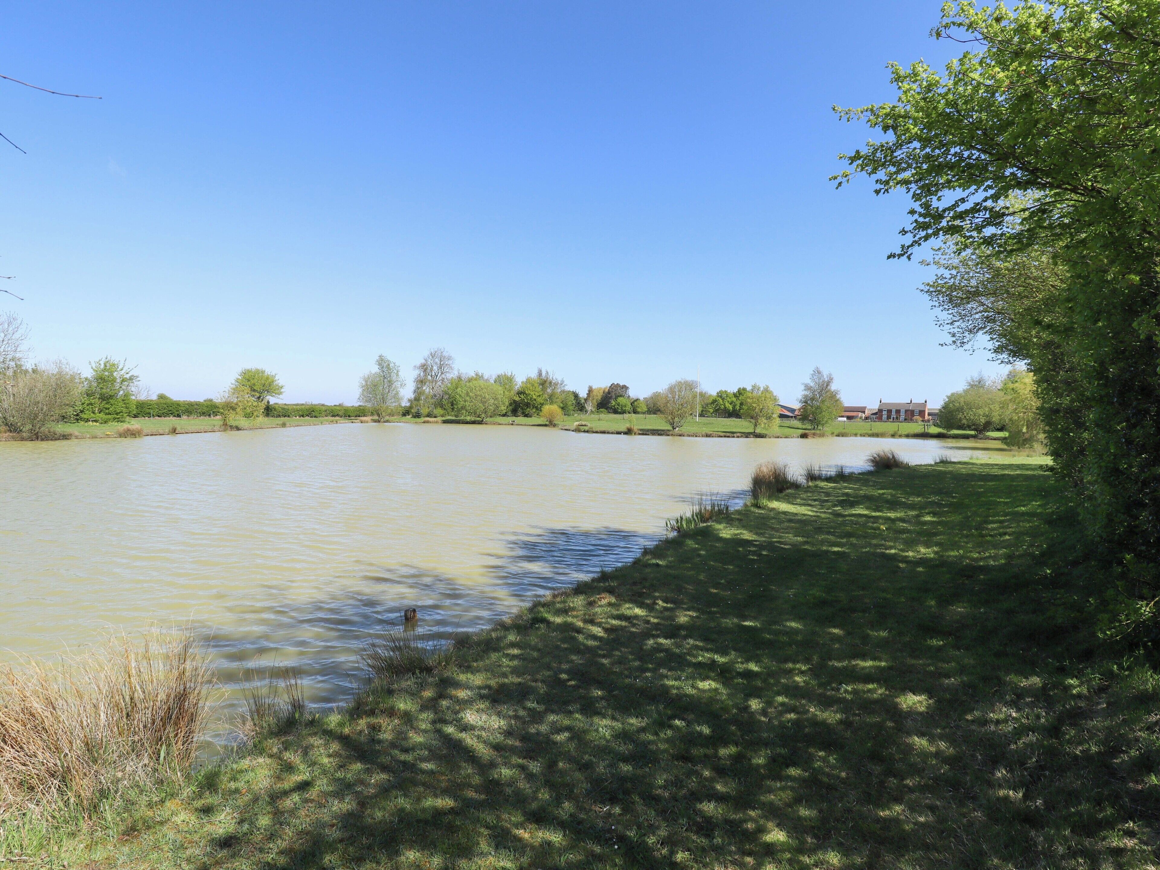 A calm lake with grassy banks, trees, and a distant building.