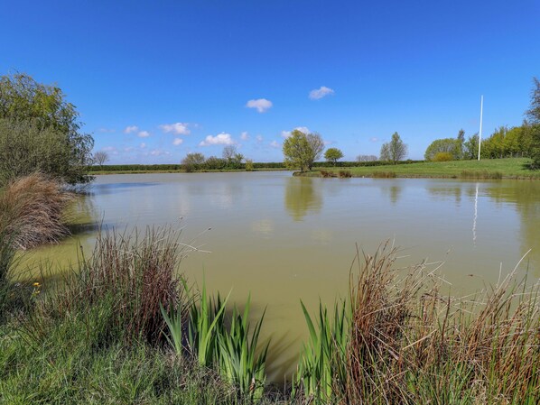 A calm lake with surrounding greenery and trees. - Ticklepenny (Louth)
