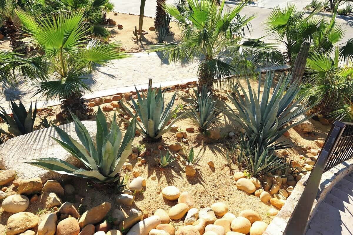 Overnattingsstedets uteområder