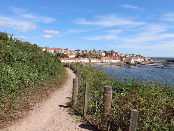 A coastal path leading to a town with buildings along the water.