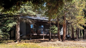 A cabin with a porch, surrounded by tall pine trees. - Four Cabins near each other- King Beds, AC, Firepit, SMores, Sledding (Angel Fire)