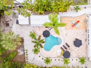 Property grounds - Sarasota Stay. Heated Saltwater Pool+Cottage (Sarasota)