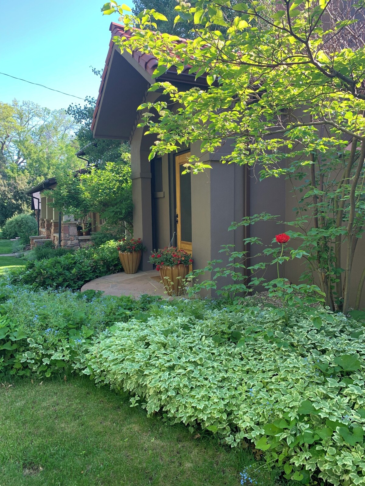 Imagen de perfil del propietario o de la propietaria