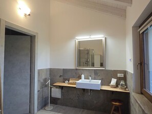 Shower, hair dryer, bidet, towels