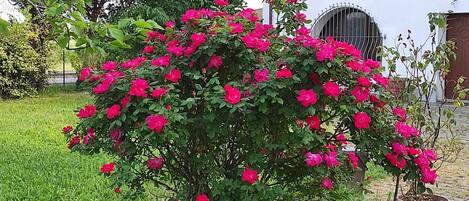 Parco della struttura