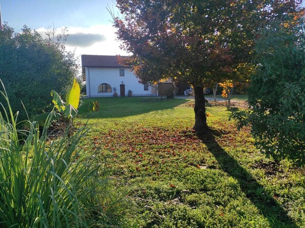 Property grounds - CREMONA BUSSETO MUSIC (San Giuliano)