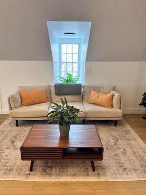 تلفزيون، مدفأة