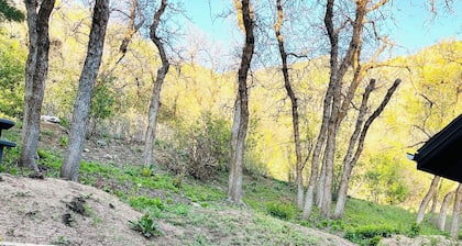 Mtnside retreat with hot tub-20 min to Snowbird. Views, privacy, near shopping