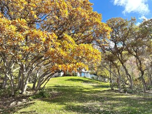 Àrea exterior de l'allotjament