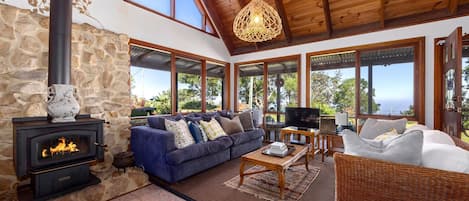 Smart TV, fireplace, books, stereo