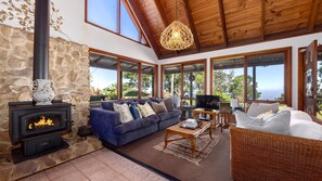 Smart TV, chimenea, libros, estéreo