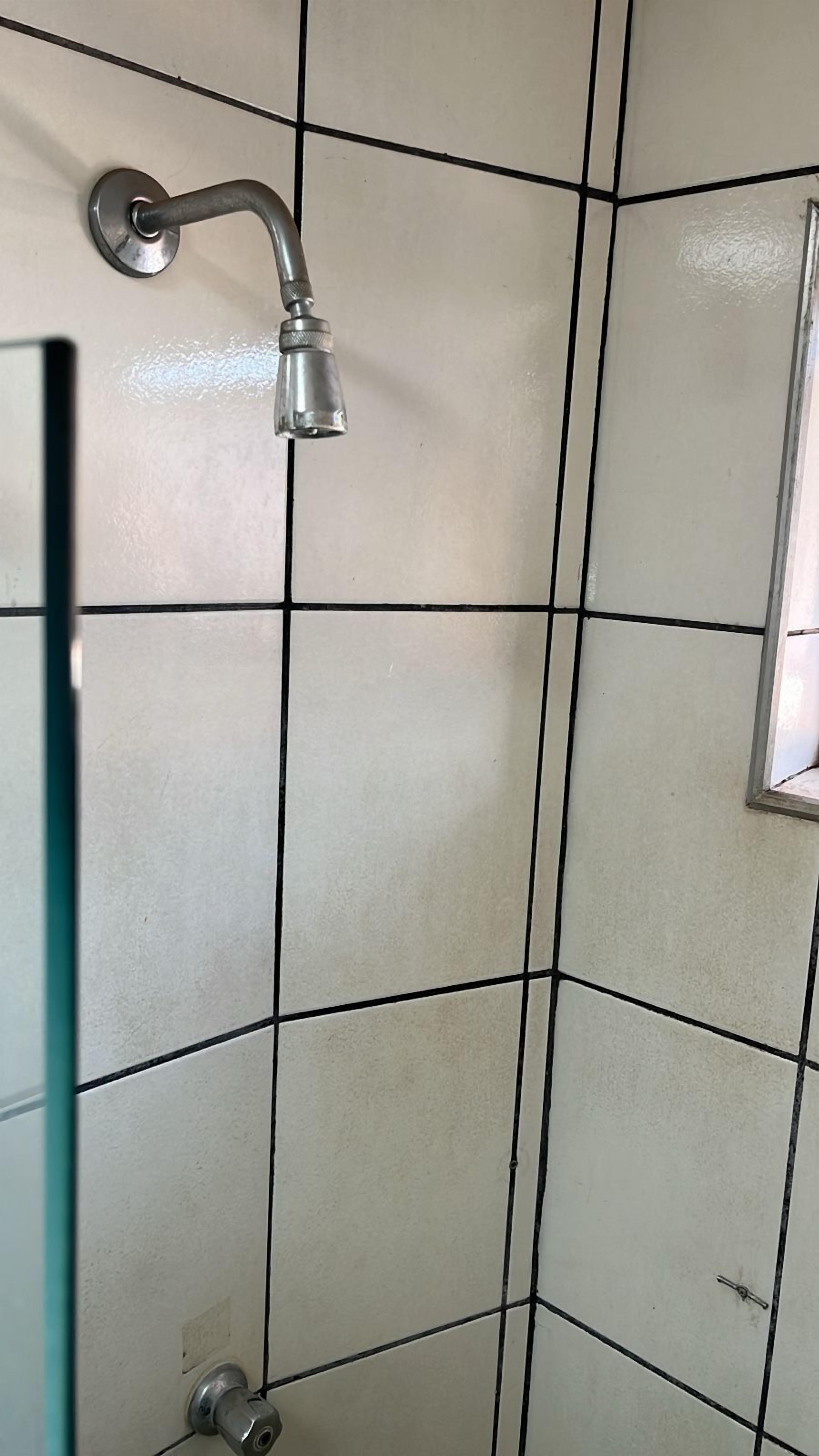 Un box de ducha con azulejos y un cabezal de ducha manual.