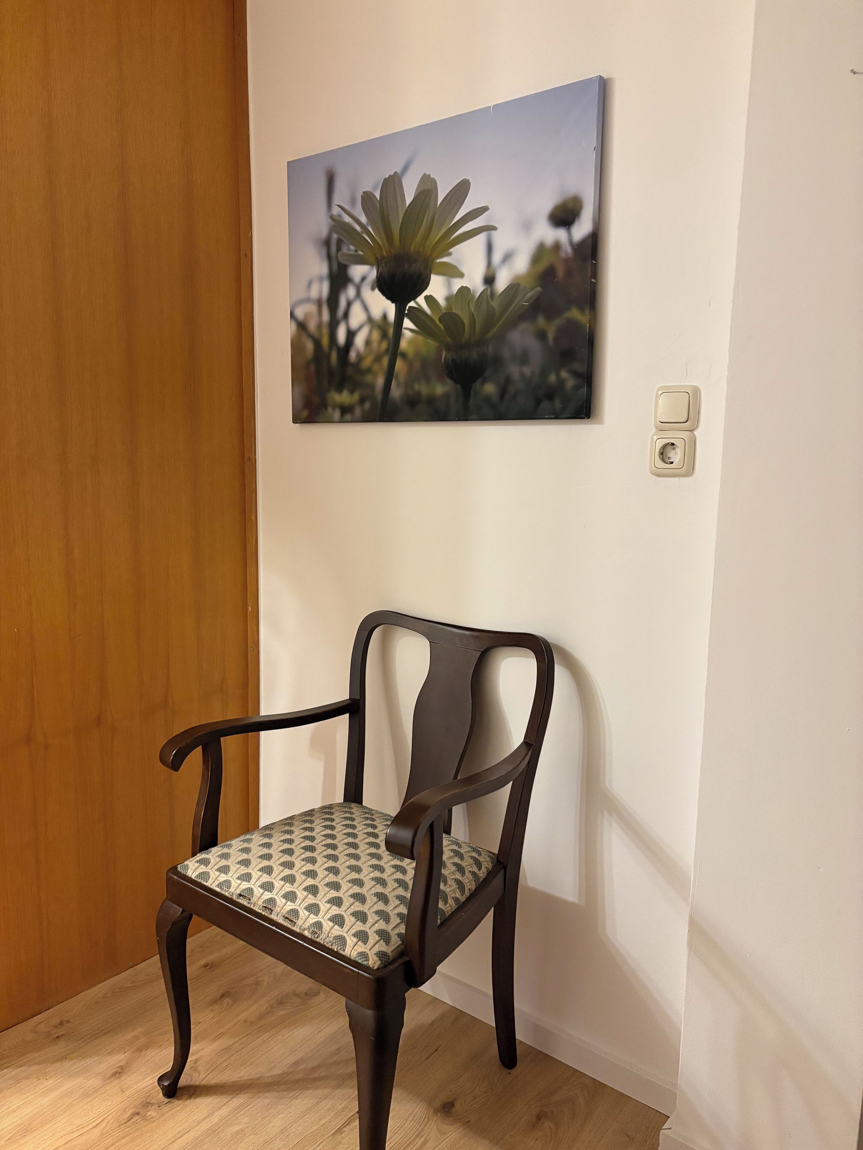 Una sedia con un cuscino decorato, un pavimento in legno e un quadro appeso al muro raffigurante una pianta.