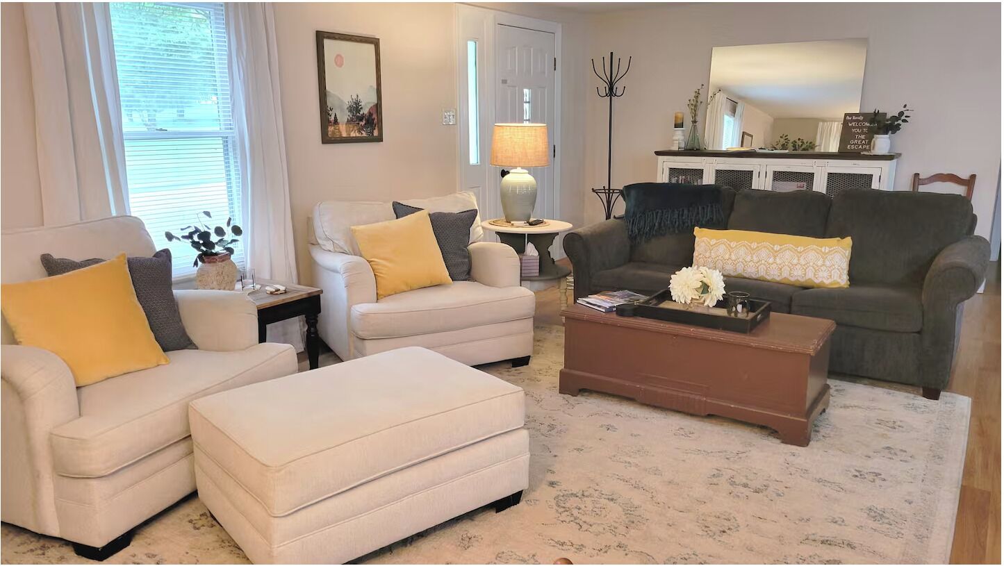 智能電視、壁爐、書籍