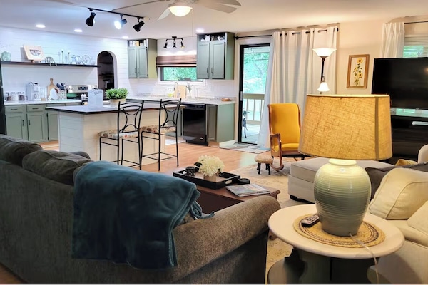 Smart TV, fireplace, books