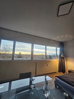 Interior - Magnificent view of Lille (Mons-en-Barœul)