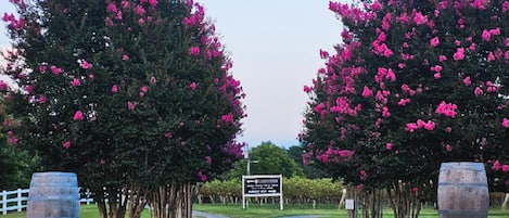 Enceinte de lâhĂ©bergement