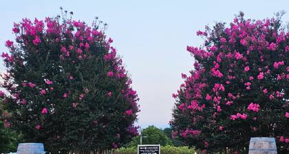 Rustic Tobacco Cabin at Hidden Vineyard