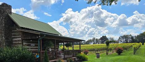 Overnattingsstedets uteområder