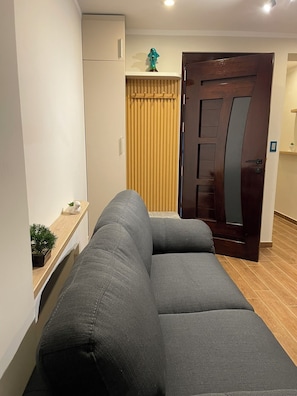 Una sala de estar moderna con un sofá gris, una puerta de madera y una pequeña planta en un estante.