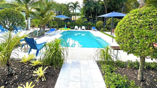 Una piscina rodeada de palmeras y sillas azules.