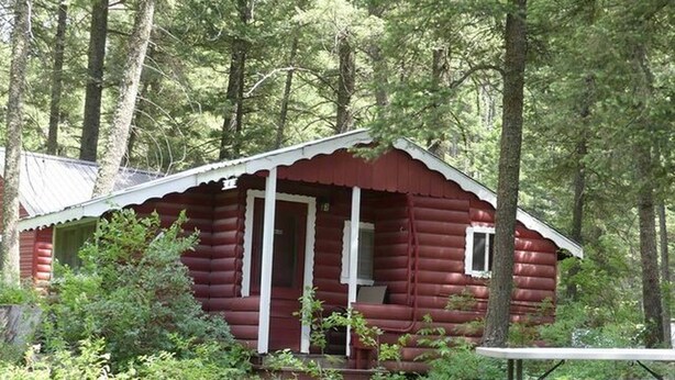Una cabaña rústica rodeada de un bosque frondoso.