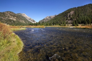 Miscellaneous - Madison River Cabin Rental #9 (W YELLOWSTONE)