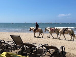 Nära stranden