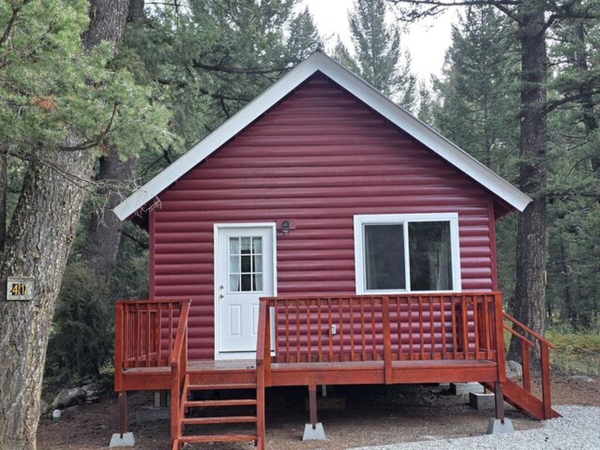 Imagen de perfil del propietario o de la propietaria