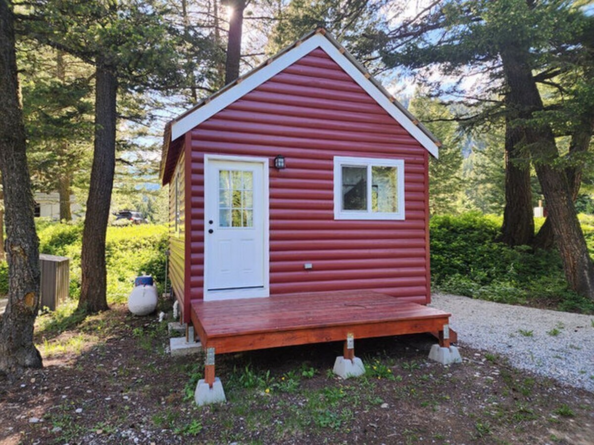 Imagem do perfil do anfitrião