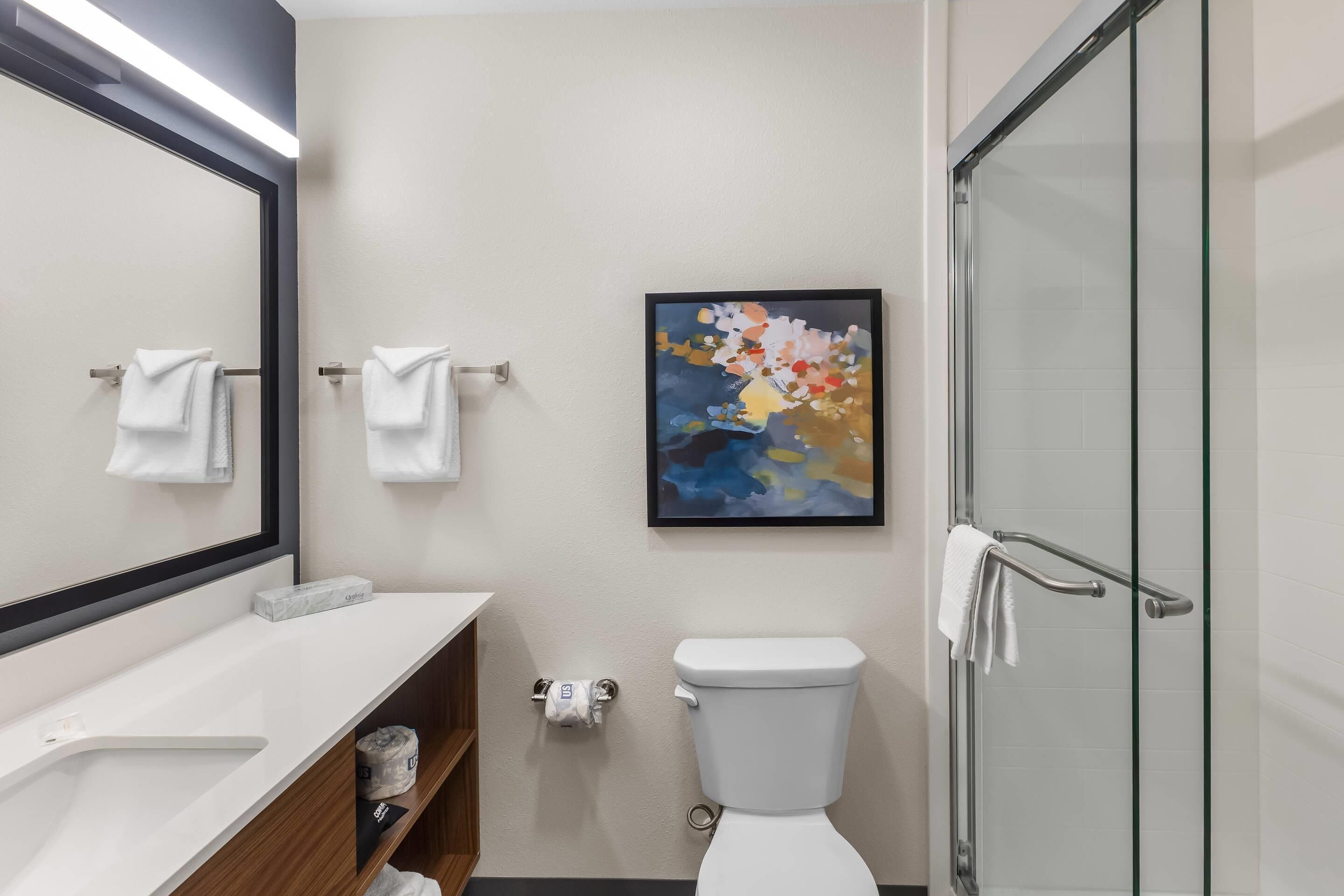 A modern bathroom with a white sink, a toilet, a glass shower enclosure, and a framed abstract painting on the wall.