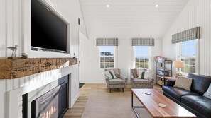 Smart TV, fireplace, books