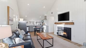 Smart TV, fireplace, books