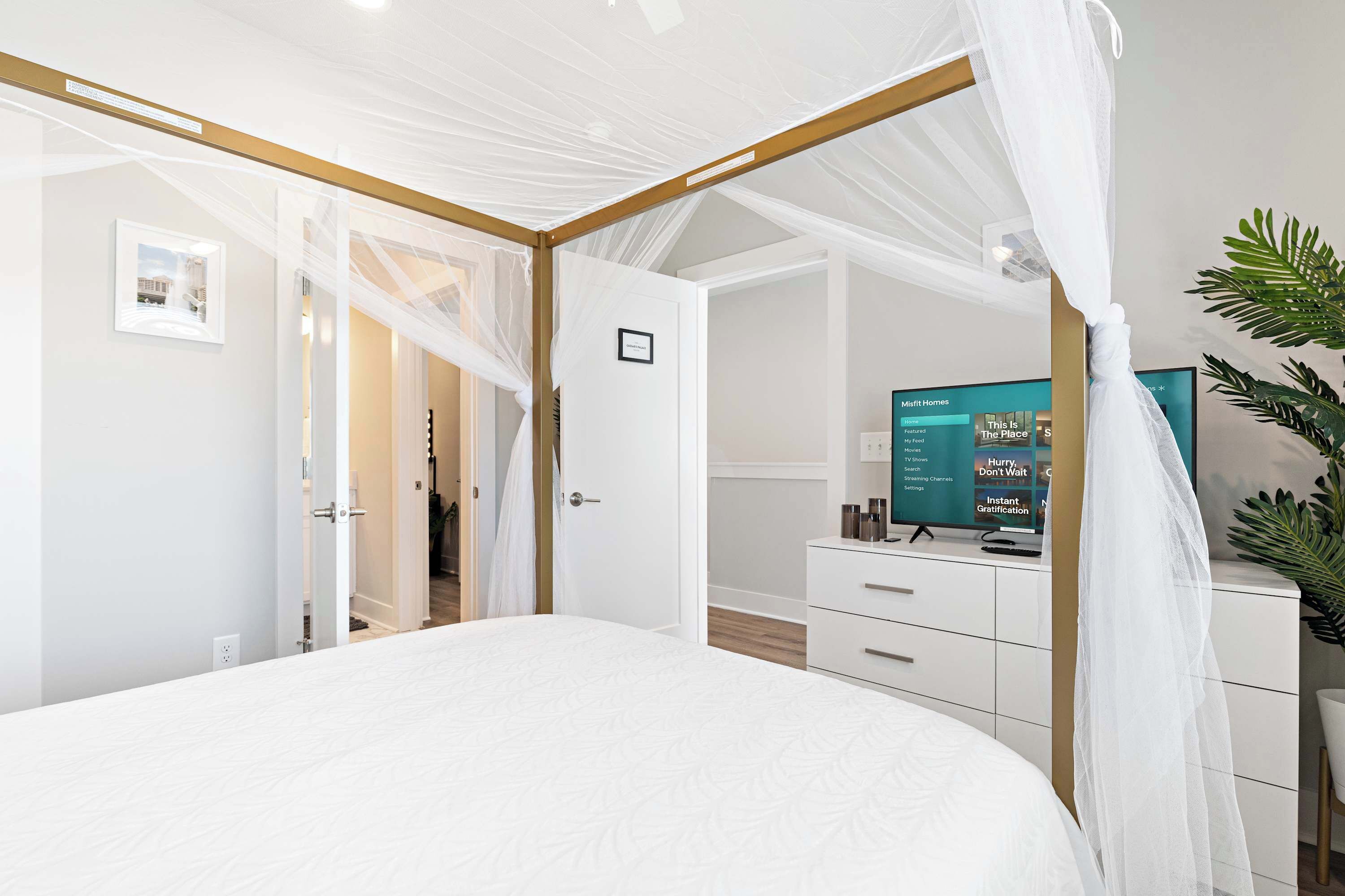 A bedroom with a canopy bed, a TV, and a plant.