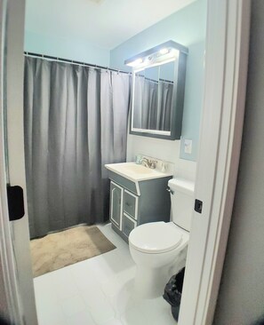 Shower, towels, soap, toilet paper - Lovely 3-bedroom house with AC in Saint Paul Park (Saint Paul Park)