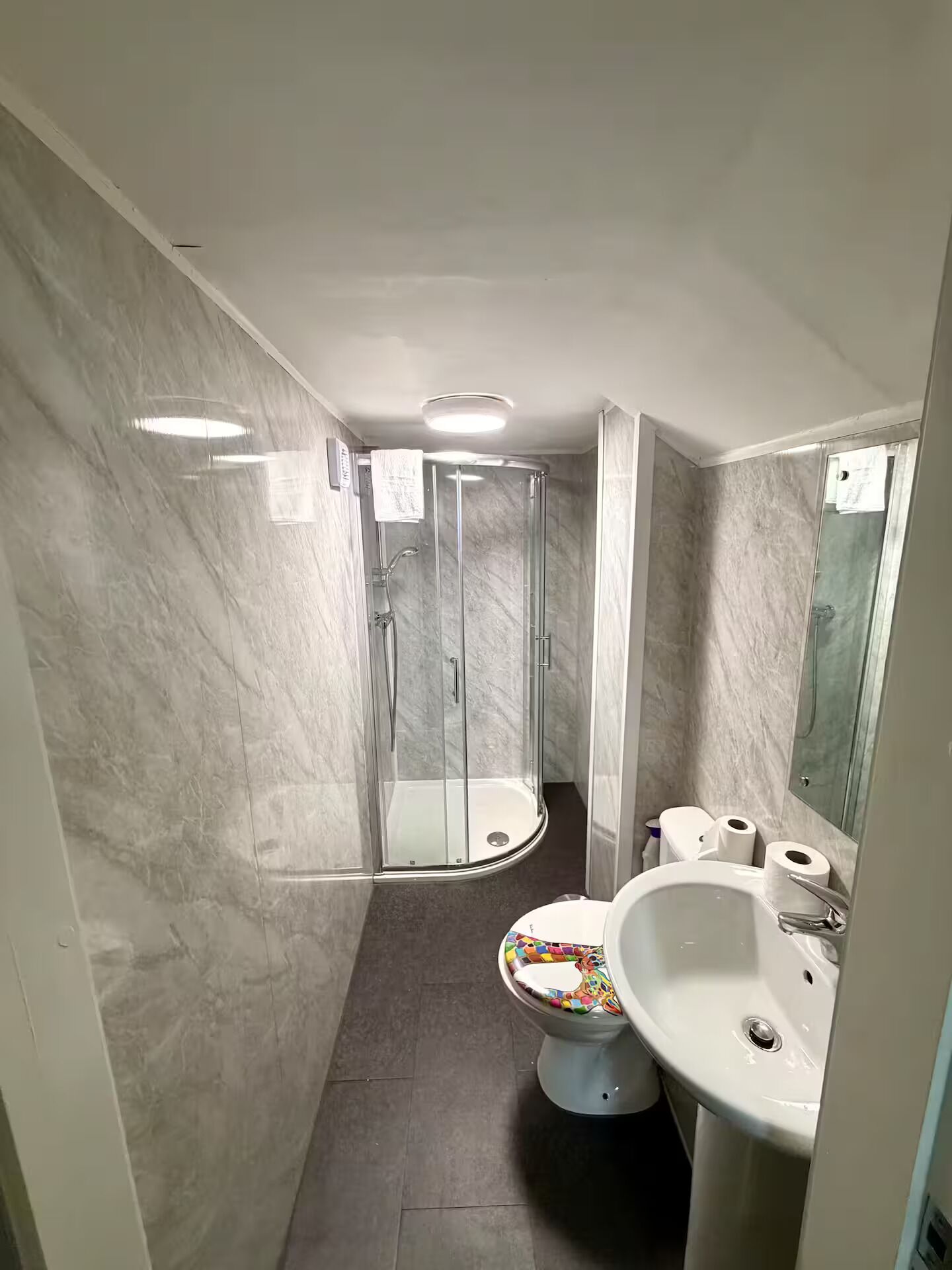 Shower, towels, toilet paper