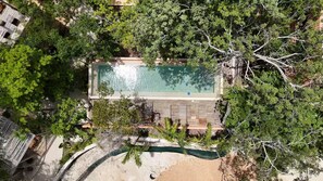 Pool - Escapada Diciembre: 2 Recámaras Albercas Gym WiFi (Tulum)