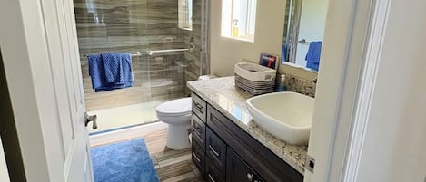 Shower, towels, soap, toilet paper