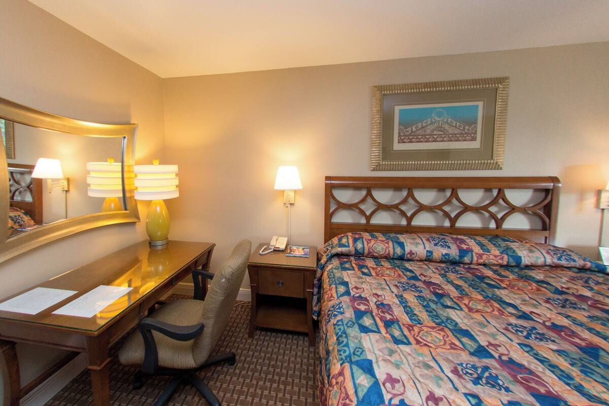 Standard Single Room, 1 King Bed, Smoking