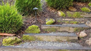 A modern building with a stone staircase leading up to a deck, surrounded by lush greenery and a forest backdrop. - Cozy Riverfront Cabin with Dock, Fire Pit & Dogs OK (Monte Rio)