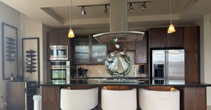 Private kitchen - COZY LUXURIOUS UPSCALE 1-BEDROOM PENTHOUSE DOWNTOWN DENVER! (Denver)