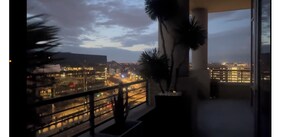 Property grounds - COZY LUXURIOUS UPSCALE 1-BEDROOM PENTHOUSE DOWNTOWN DENVER! (Denver)