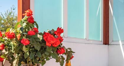 Alberca & Jacuzzi. Casa familiar Teques