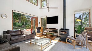 Smart TV, fireplace, DVD player, books