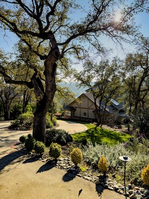 A house with a driveway, surrounded by trees and well-maintained landscaping.