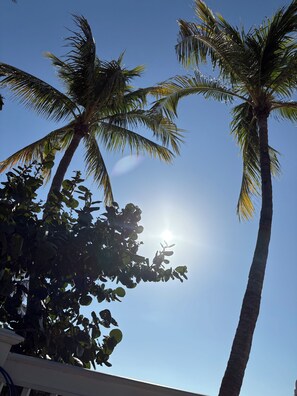 Property grounds - 2 Bedroom Condo-Hyatt Beach House Key West-Ocean-Pool-Hot Tub-Beachfront (Key West)