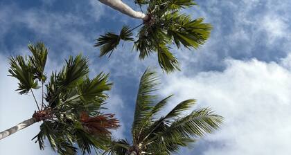 2 Bedroom Condo-Hyatt Beach House Key West-Ocean-Pool-Hot Tub-Beachfront