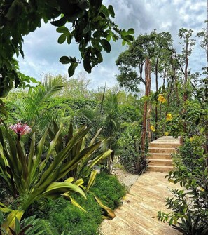Property grounds - ANANA Yaaxlum 106 S  Familly condo & Oasis pool (Tulum)